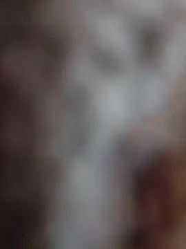 mhmia online show from February 12, 2026, 3:51 pm