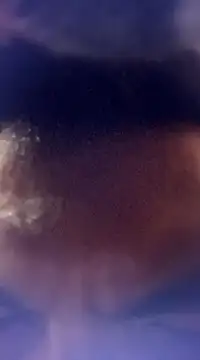 Snapshot of randit7 chatting on January 24, 2025, 12:52 pm randit7 online show from January 24, 2025, 12:52 pm