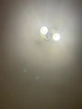 bunnythetailor online show from April 7, 2026, 6:41 pm