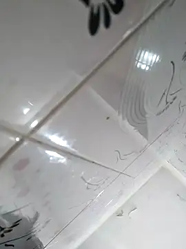 Snapshot of letsfunss008 chatting on February 6, 2025, 8:56 pm letsfunss008 online show from February 6, 2025, 8:56 pm