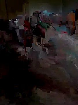 Ariba270 online show from November 1, 2025, 9:55 am