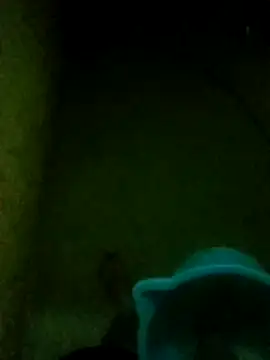 Night View online show from November 14, 2025, 5:33 pm