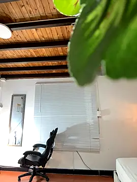 Hadley  online show from December 3, 2025, 3:14 am