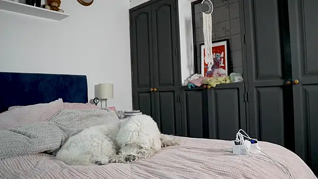 tattoo ninja kittyy online show from October 16, 2025, 8:21 pm