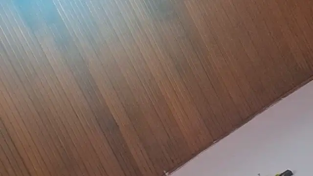 Snapshot of kyliebigboobs chatting on September 30, 2025, 2:00 pm kyliebigboobs online show from September 30, 2025, 2:00 pm