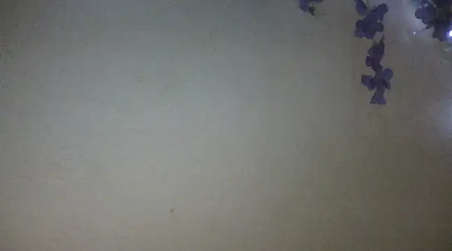 Snapshot of xxsexycutexxx chatting on February 18, 2025, 6:04 pm xxsexycutexxx online show from February 18, 2025, 6:04 pm