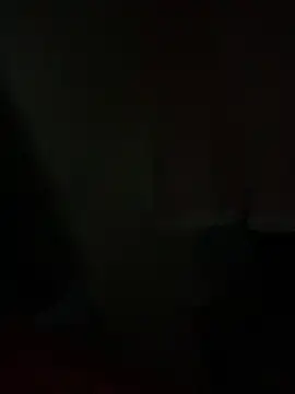 PINO pino 01 online show from November 12, 2025, 6:41 pm