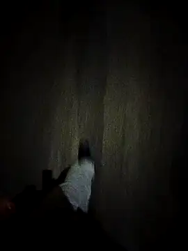 dominationmybigdick online show from October 27, 2025, 9:30 pm