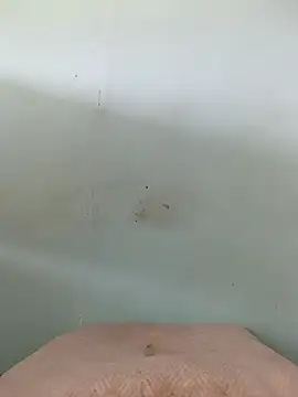 Dracoandr online show from October 26, 2025, 5:08 pm