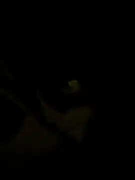 sark0606 online show from February 6, 2025, 4:58 pm