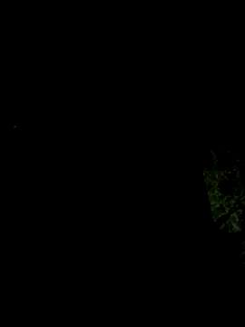 hintly online show from October 29, 2025, 11:12 am