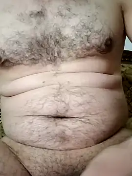 Arabian online show from February 9, 2025, 6:47 pm