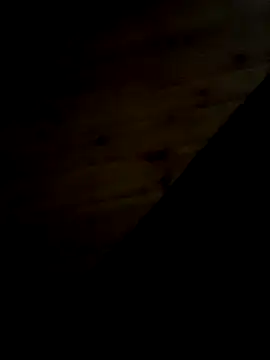 Arabian online show from February 11, 2025, 9:46 pm