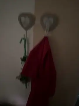 Snapshot of EMIeISL chatting on October 15, 2025, 12:27 pm EMIeISL online show from October 15, 2025, 12:27 pm