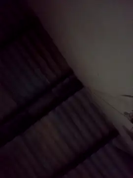 Bichorro online show from February 3, 2026, 7:02 am