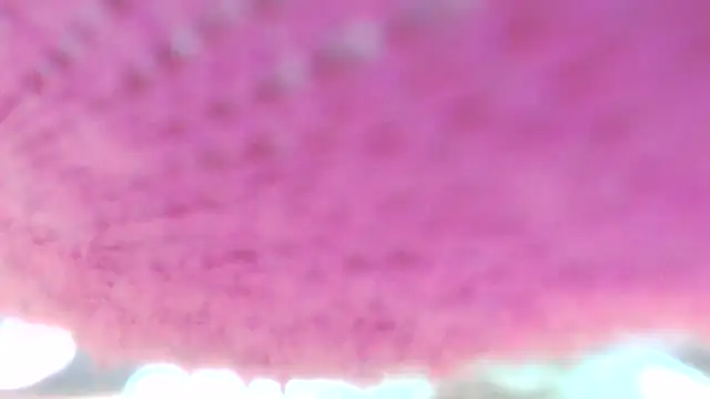 Sweetieanalxxx online show from April 5, 2026, 12:30 am