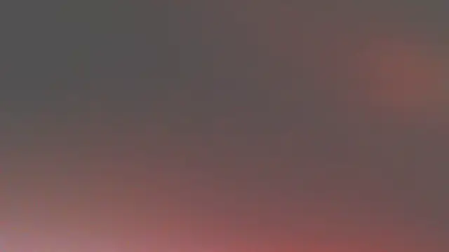 Sweetieanalxxx online show from May 12, 2026, 8:39 pm
