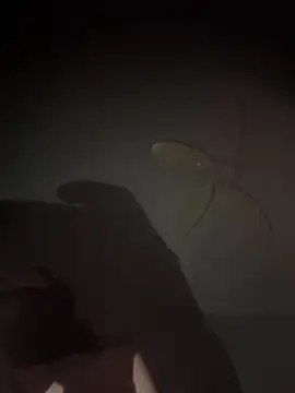 mylovebb online show from January 6, 2026, 3:43 am