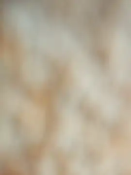 maialani online show from October 9, 2025, 9:40 am