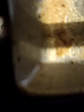 Loly2025 online show from February 20, 2025, 2:35 pm