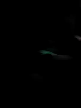 GoldenPastry20 online show from February 9, 2026, 5:17 pm