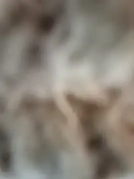 mauroxx08 online show from April 5, 2026, 3:20 pm