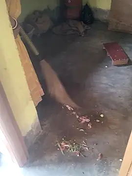 devarbhabhisexpower online show from April 10, 2026, 2:28 am