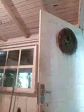 Fellyna online show from October 3, 2025, 5:21 pm