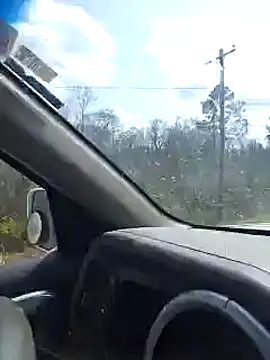 Snapshot of dylanroberts1995 chatting on March 8, 2025, 6:47 pm dylanroberts1995 online show from March 8, 2025, 6:47 pm