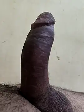 alkhabiir online show from November 25, 2025, 6:08 pm