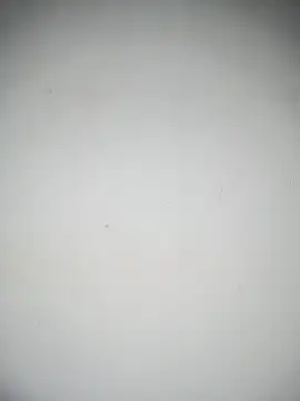 LISA 089 online show from October 15, 2025, 12:16 pm