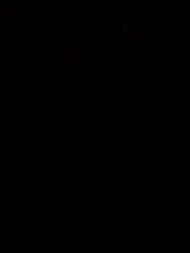 viviksmel online show from October 25, 2025, 11:51 am