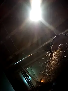 Snapshot of SirJonBradley chatting on September 19, 2025, 10:49 am SirJonBradley online show from September 19, 2025, 10:49 am