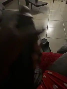 Goodball88 online show from February 28, 2026, 3:07 am