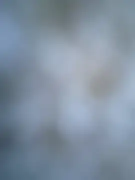 coolbrady17 online show from March 6, 2025, 10:52 am