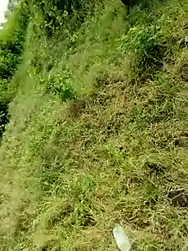 himvilohi08 online show from October 6, 2025, 4:10 am