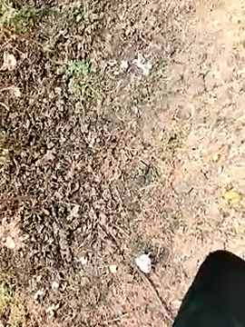 himvilohi08 online show from January 7, 2026, 6:16 am