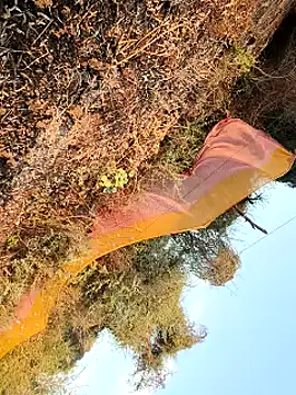 himvilohi08 online show from March 25, 2026, 12:44 pm