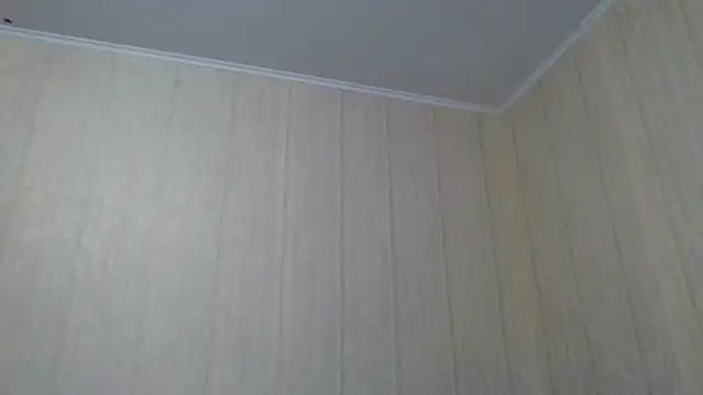 Snapshot of _Black-Panther_ chatting on September 28, 2025, 10:31 am Black-Panther online show from September 28, 2025, 10:31 am