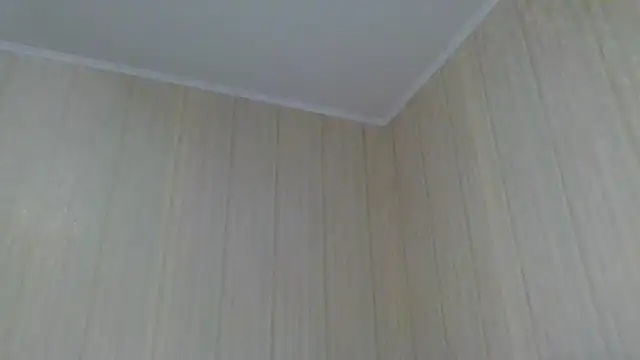 Snapshot of _Black-Panther_ chatting on October 5, 2025, 12:03 pm Black-Panther online show from October 5, 2025, 12:03 pm