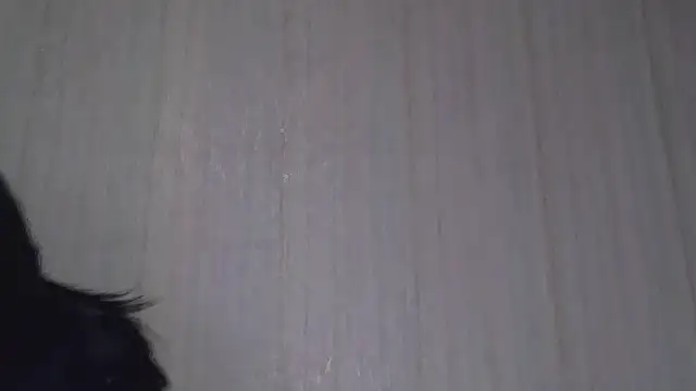 Snapshot of _Black-Panther_ chatting on October 20, 2025, 8:26 am Black-Panther online show from October 20, 2025, 8:26 am