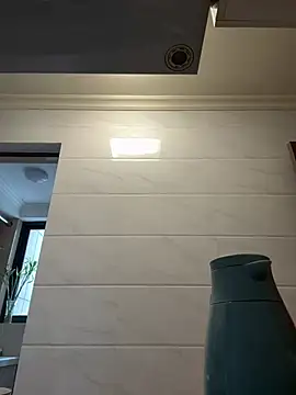 Snapshot of aa520uv chatting on March 17, 2026, 2:05 am aa520uv online show from March 17, 2026, 2:05 am