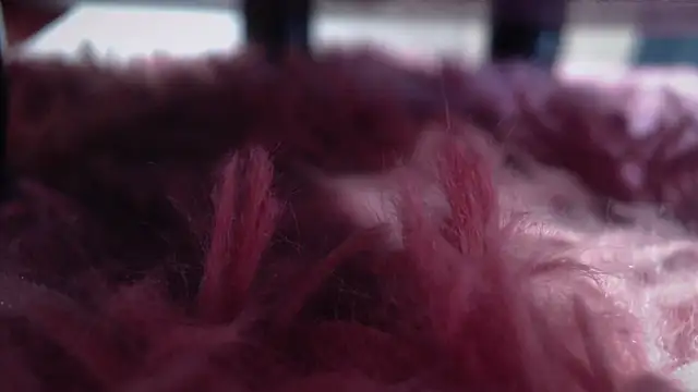 Snapshot of Taylor_dolll chatting on October 1, 2025, 2:12 pm Taylor dolll online show from October 1, 2025, 2:12 pm