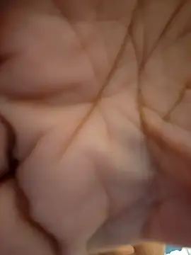 Snapshot of ikeike-kun chatting on November 10, 2025, 11:31 am ikeike-kun online show from November 10, 2025, 11:31 am