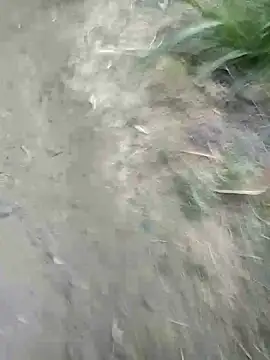 Snapshot of Sonia_Mehra6 chatting on March 22, 2025, 1:19 pm Sonia Mehra6 online show from March 22, 2025, 1:19 pm