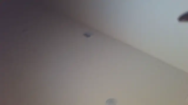 shurthingx online show from April 14, 2026, 4:18 am