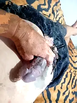 Dglo0000 online show from November 30, 2025, 8:51 am