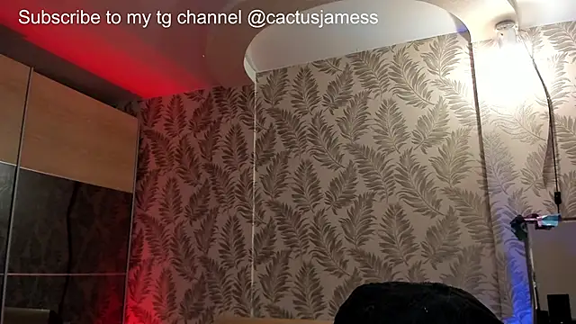 Snapshot of Cactus__James chatting on October 2, 2025, 12:28 am Cactus James online show from October 2, 2025, 12:28 am
