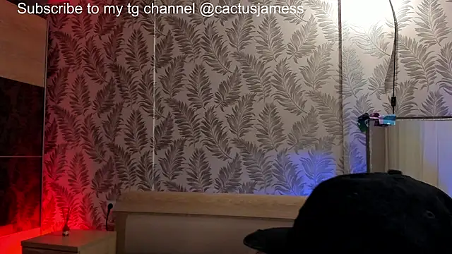 Cactus  James online show from October 31, 2025, 6:53 pm