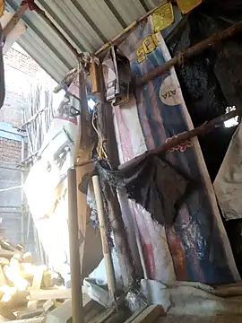 hot integer online show from February 11, 2026, 11:26 am